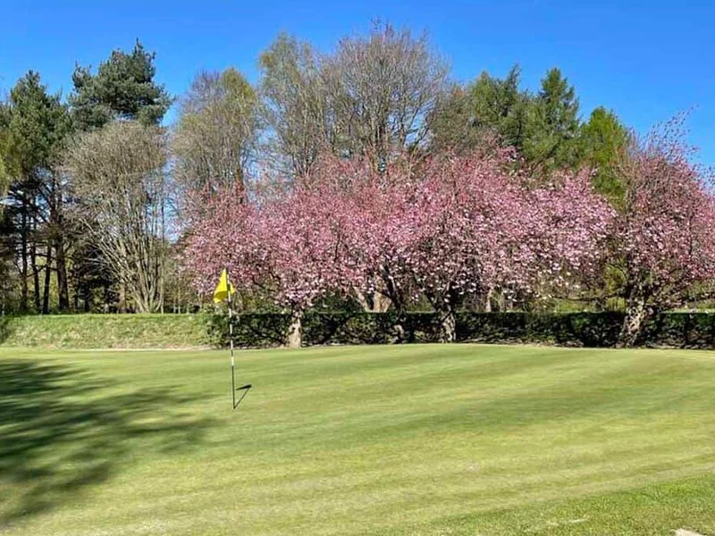 Northenden bounces back